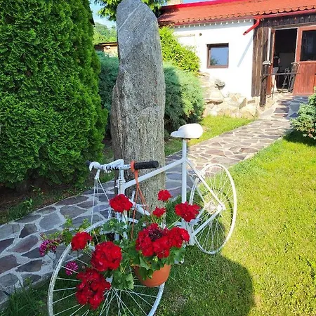 Complex Valea Argesului Guest house *