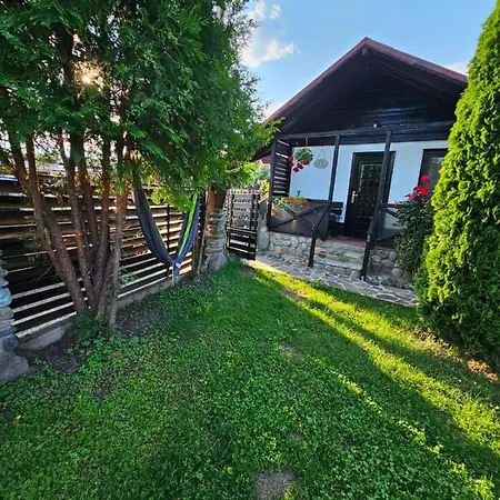 Guest house Complex Valea Argesului *