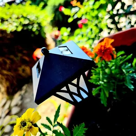 Guest house Complex Valea Argesului *