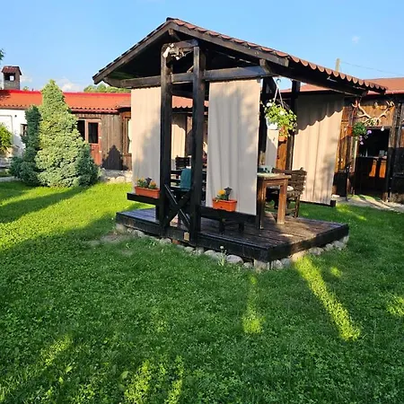 Complex Valea Argesului Guest house *