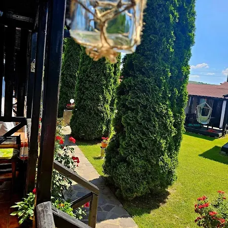 Guest house Complex Valea Argesului