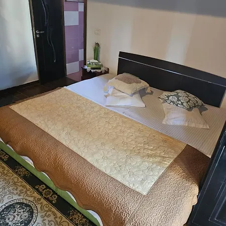 Complex Valea Argesului Guest house *