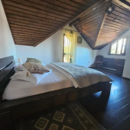 Guest house Complex Valea Argesului Albestii de Arges